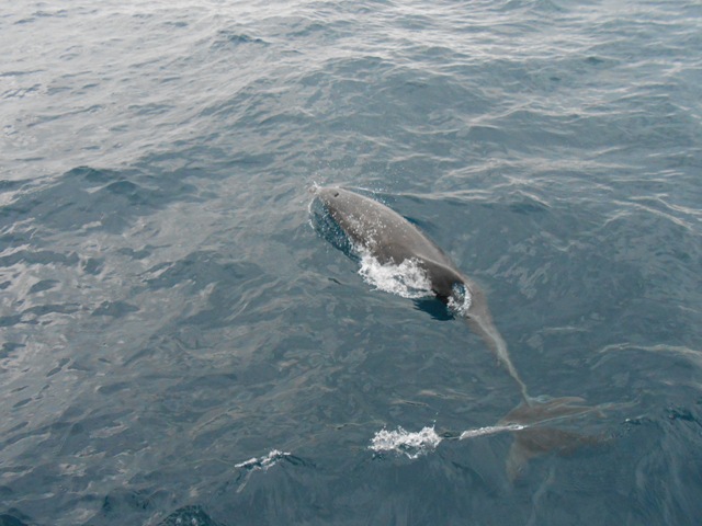 DSCN3088